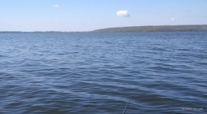 IMG_20180428_092216.jpg