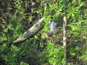 IMG_6949.JPG