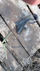 20180430_085854.jpg