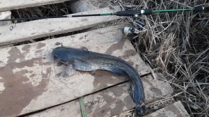 20180430_083501.jpg