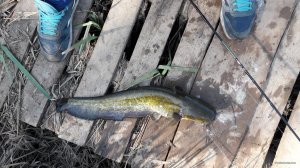 20180430_085252.jpg