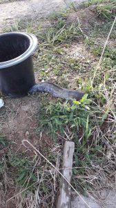 20180430_082706.jpg