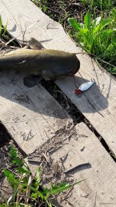 20180430_072221.jpg