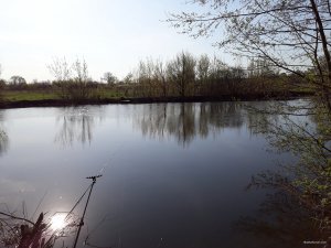 20180430_080302.jpg
