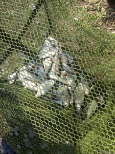 20180430_152519.jpg