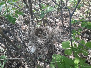 20180430_154938.jpg