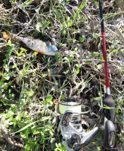 20180501_081816.jpg
