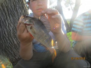 IMG_0269.JPG