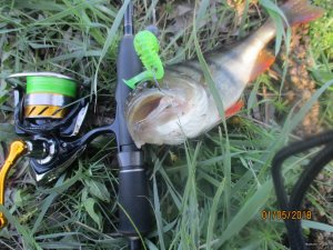 IMG_0258.JPG