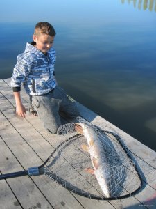 IMG_8259.JPG