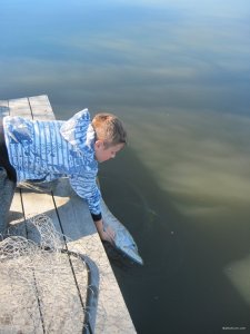 IMG_8261.JPG