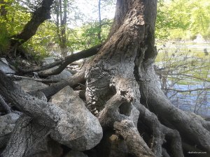 20180503_113615.jpg
