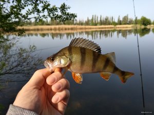 IMG_20180505_080236.jpg