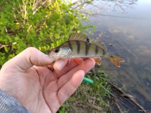 IMG_20180505_075134.jpg