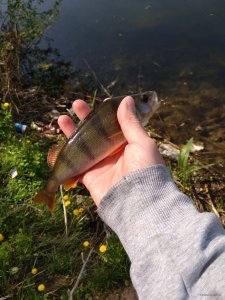IMG_20180505_105910.jpg