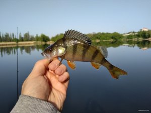 IMG_20180505_080245.jpg