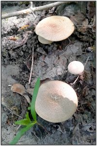 20180505_103130.jpg