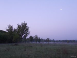 DSCN0656.JPG