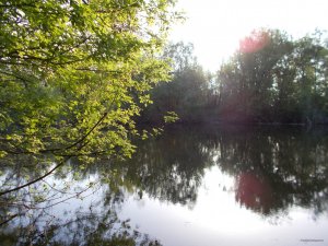 DSCN0660.JPG