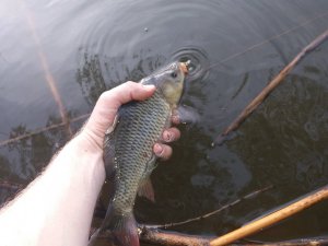 20180505_175517.jpg