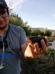IMG_20180505_182048.jpg
