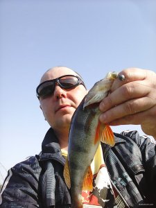 IMG_20180506_083011.jpg