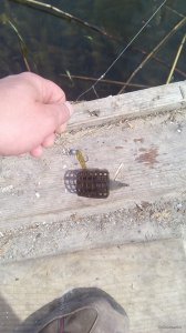 IMG_20180506_105708.jpg