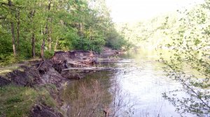 IMG_20180506_080136.jpg