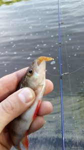 IMG_20180506_081654.jpg