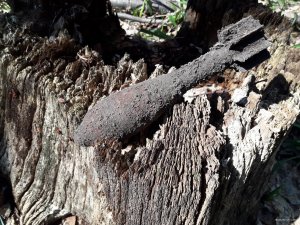20180421_142416.jpg