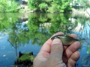IMG_20180506_150507_202[1].jpg