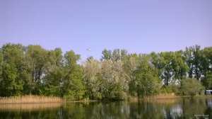 WP_20180505_09_05_53_Pro.jpg