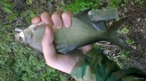 WP_20180505_07_23_40_Pro.jpg