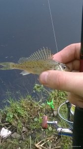 WP_20180505_07_49_25_Pro.jpg