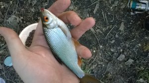 WP_20180505_18_42_37_Pro.jpg
