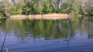 WP_20180505_08_46_23_Pro.jpg