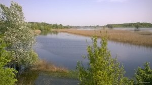 WP_20180505_10_49_43_Pro.jpg