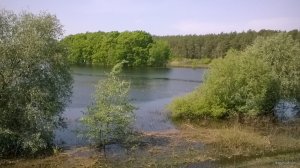 WP_20180505_10_50_30_Pro.jpg
