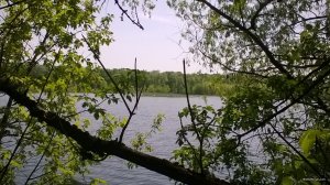 WP_20180505_10_59_48_Pro.jpg