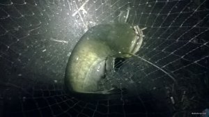 WP_20180505_22_17_06_Pro.jpg