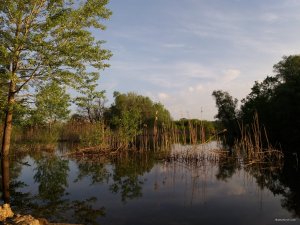 20180506_061722.jpg