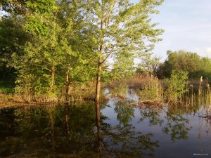 20180506_061730.jpg