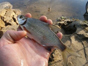 20180506_063737.jpg