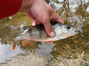 20180506_084828.jpg
