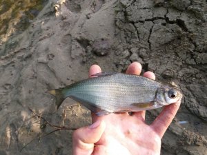 20180506_063117.jpg