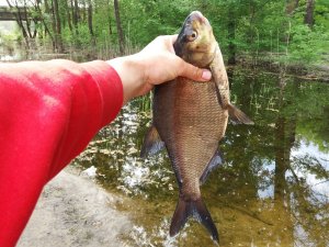 20180506_094541.jpg