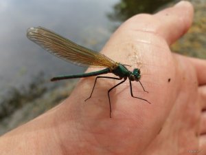 20180506_095405.jpg