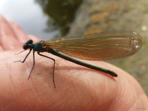 20180506_095428.jpg