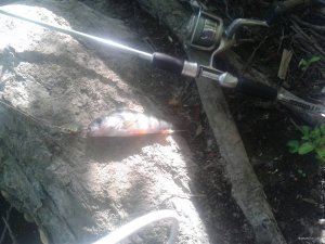 20120120_185117.jpg