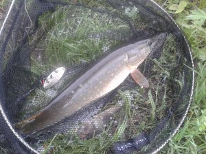 20120123_194905.jpg